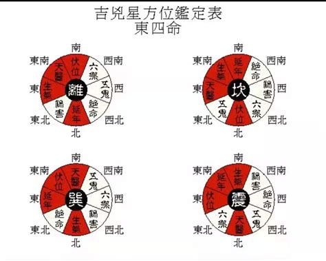 生天延意思|大游年九星八卦风水